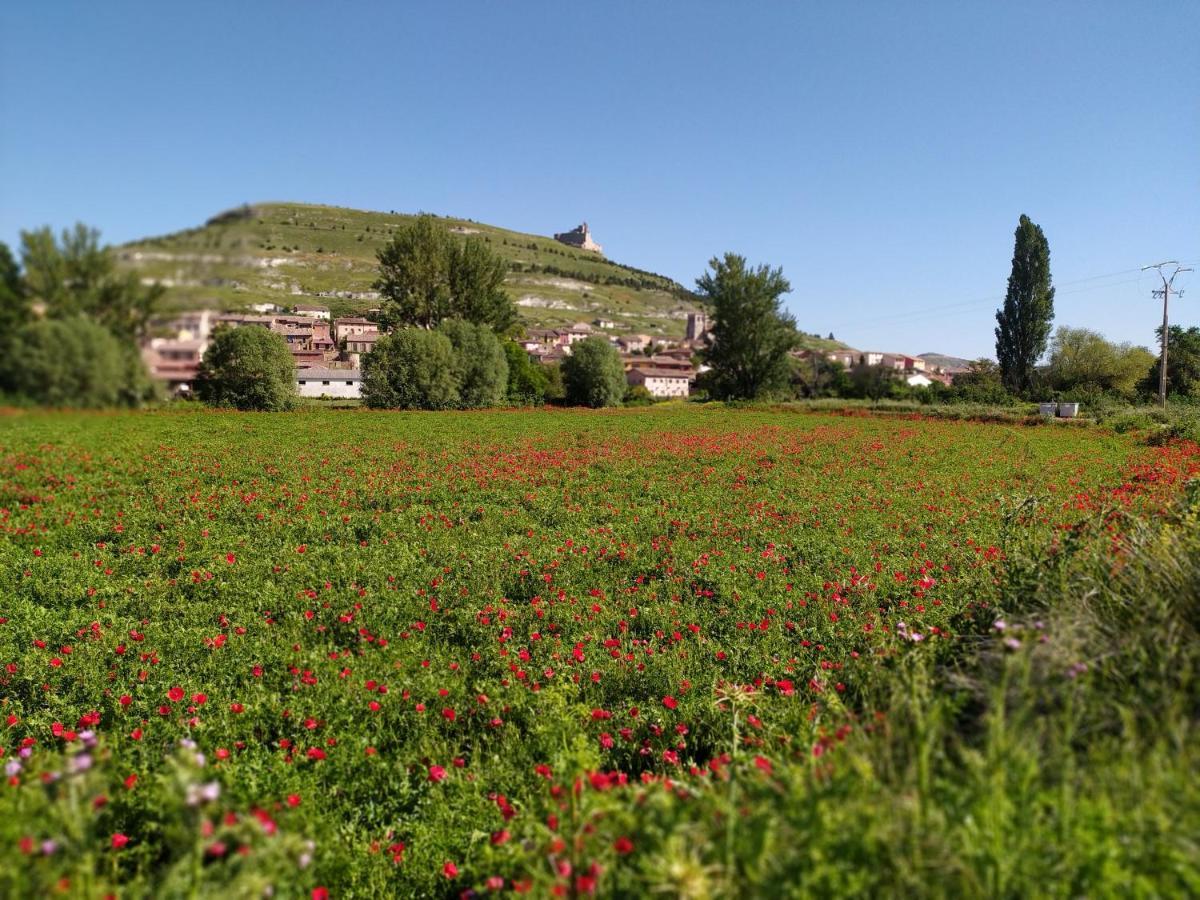 Camino De Santiago Hostel Castrojeriz Buitenkant foto